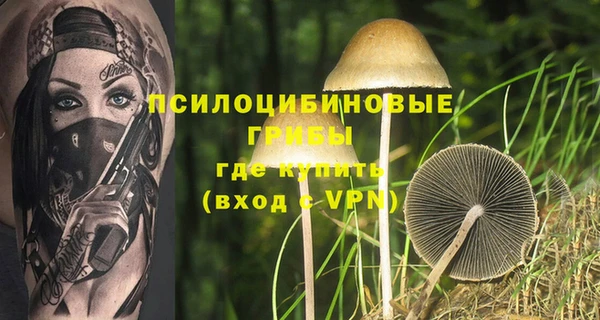 не бодяженный Армянск