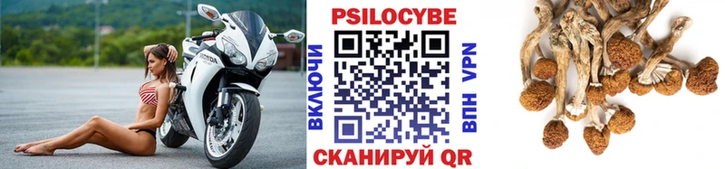 даркнет сайт  кракен ONION  Псилоцибиновые грибы Psilocybine cubensis  маркетплейс наркотические препараты  Людиново 